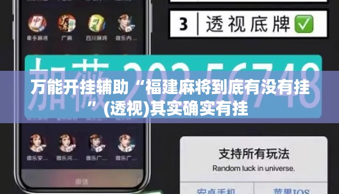万能开挂辅助“福建麻将到底有没有挂	”(透视)其实确实有挂 