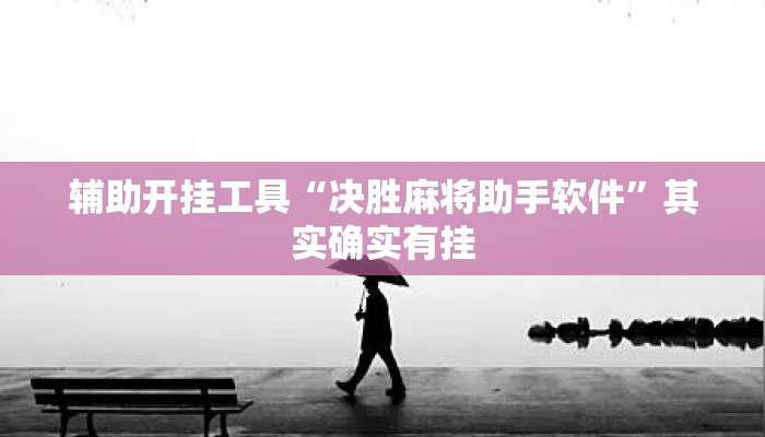辅助开挂工具“决胜麻将助手软件”其实确实有挂