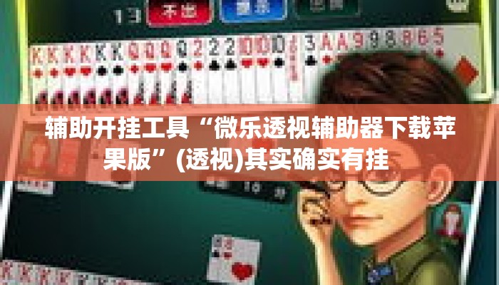 辅助开挂工具“微乐透视辅助器下载苹果版”(透视)其实确实有挂 