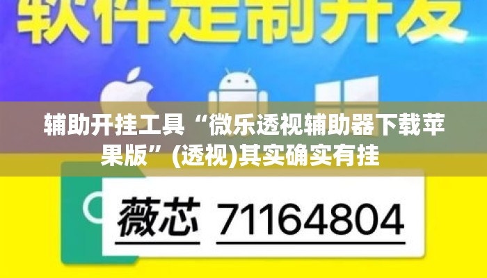 辅助开挂工具“微乐透视辅助器下载苹果版”(透视)其实确实有挂 