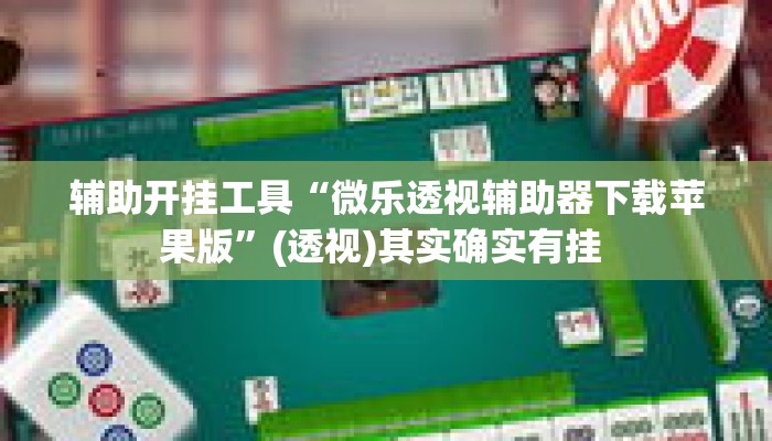 辅助开挂工具“微乐透视辅助器下载苹果版”(透视)其实确实有挂 
