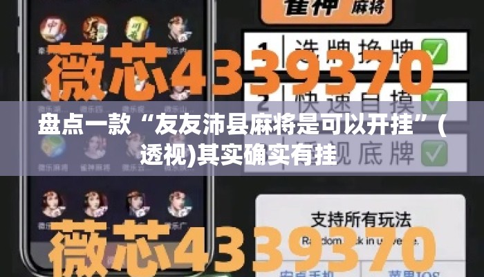 盘点一款“友友沛县麻将是可以开挂”(透视)其实确实有挂 