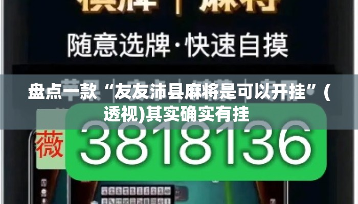 盘点一款“友友沛县麻将是可以开挂	”(透视)其实确实有挂 