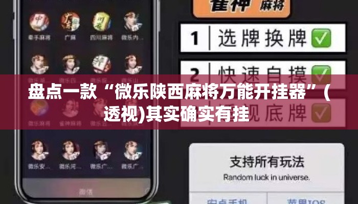 盘点一款“微乐陕西麻将万能开挂器”(透视)其实确实有挂 