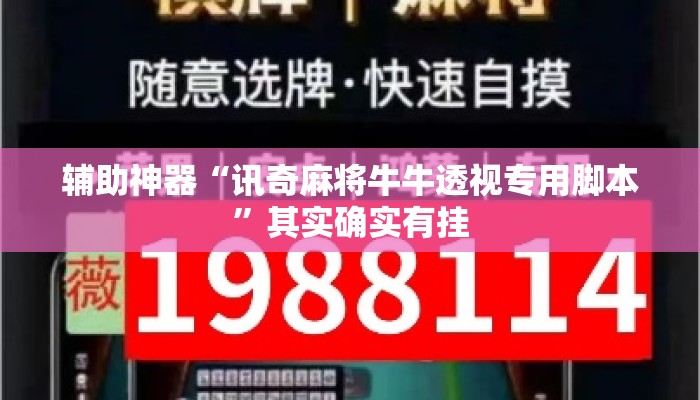 辅助神器“讯奇麻将牛牛透视专用脚本	”其实确实有挂