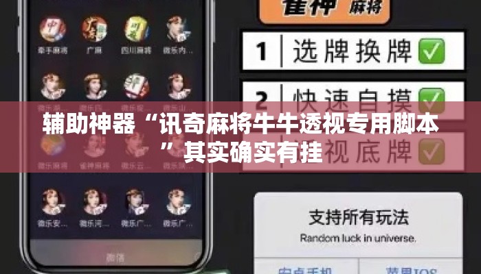 辅助神器“讯奇麻将牛牛透视专用脚本”其实确实有挂