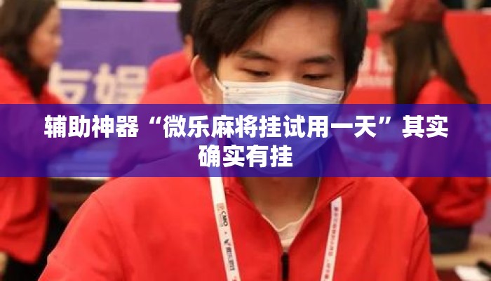 辅助神器“微乐麻将挂试用一天”其实确实有挂