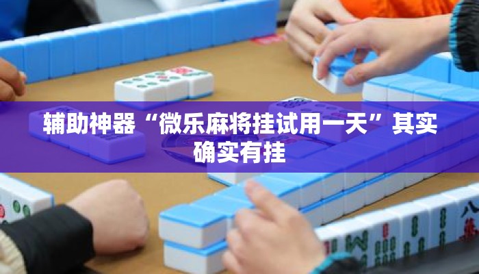 辅助神器“微乐麻将挂试用一天”其实确实有挂