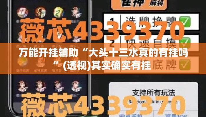 万能开挂辅助“大头十三水真的有挂吗	”(透视)其实确实有挂 