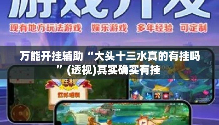 万能开挂辅助“大头十三水真的有挂吗”(透视)其实确实有挂 