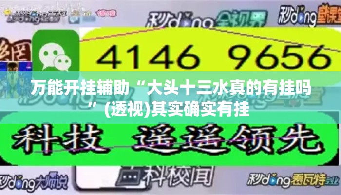万能开挂辅助“大头十三水真的有挂吗”(透视)其实确实有挂 