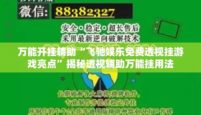 万能开挂辅助“飞驰娱乐免费透视挂游戏亮点”揭秘透视辅助万能挂用法