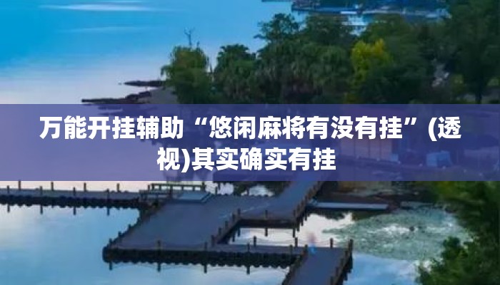 万能开挂辅助“悠闲麻将有没有挂”(透视)其实确实有挂 