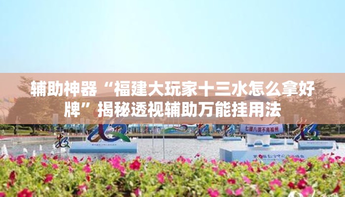 辅助神器“福建大玩家十三水怎么拿好牌”揭秘透视辅助万能挂用法