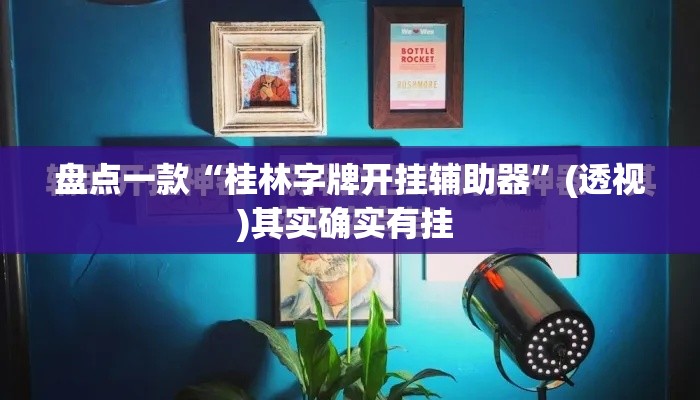 盘点一款“桂林字牌开挂辅助器	”(透视)其实确实有挂 