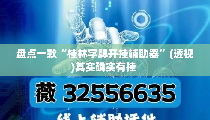 盘点一款“桂林字牌开挂辅助器”(透视)其实确实有挂 