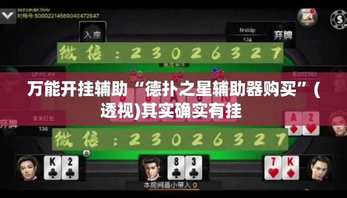 万能开挂辅助“德扑之星辅助器购买”(透视)其实确实有挂 