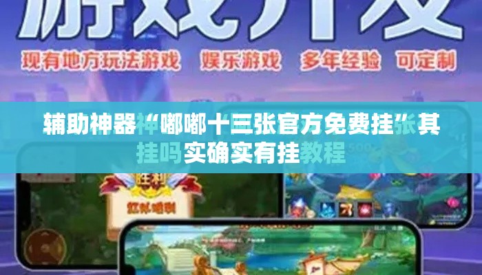 辅助神器“嘟嘟十三张官方免费挂	”其实确实有挂