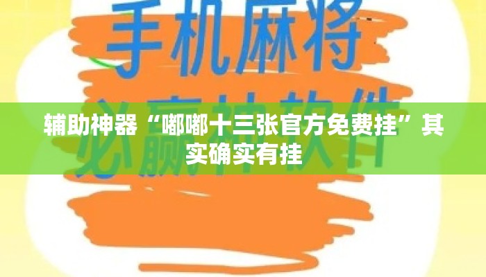 辅助神器“嘟嘟十三张官方免费挂”其实确实有挂