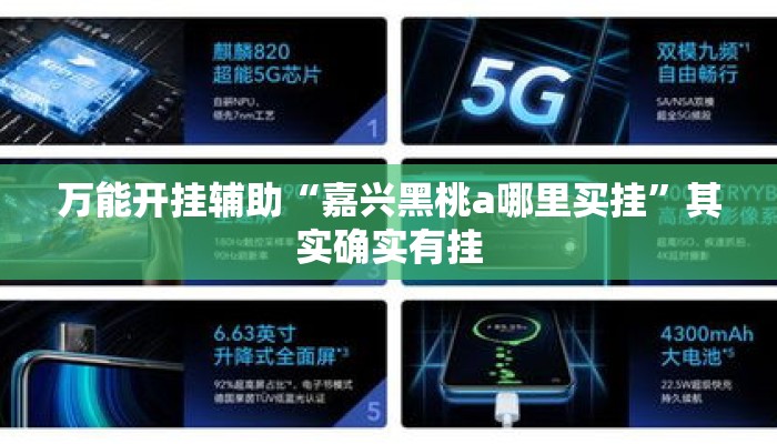 万能开挂辅助“嘉兴黑桃a哪里买挂”其实确实有挂