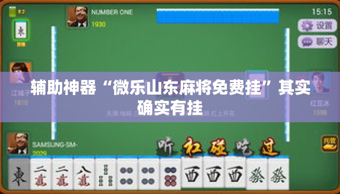辅助神器“微乐山东麻将免费挂”其实确实有挂