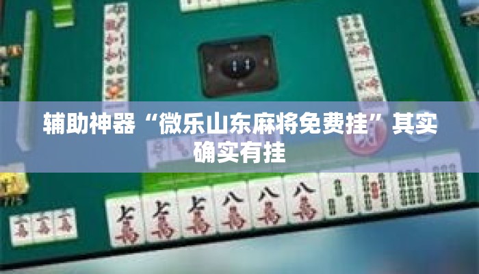 辅助神器“微乐山东麻将免费挂”其实确实有挂