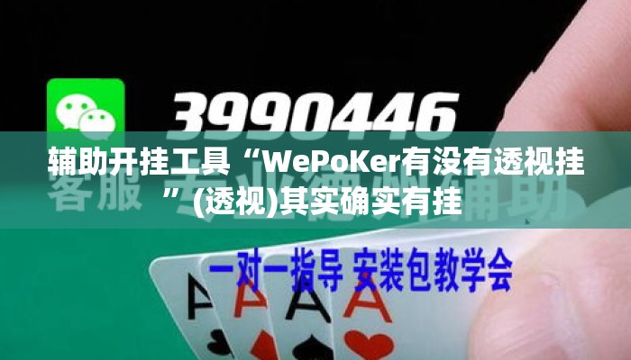 辅助开挂工具“WePoKer有没有透视挂	”(透视)其实确实有挂 