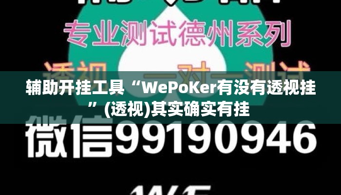 辅助开挂工具“WePoKer有没有透视挂”(透视)其实确实有挂 