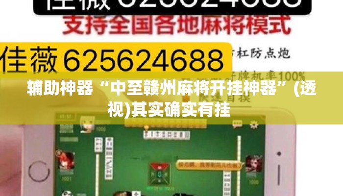 辅助神器“中至赣州麻将开挂神器	”(透视)其实确实有挂 