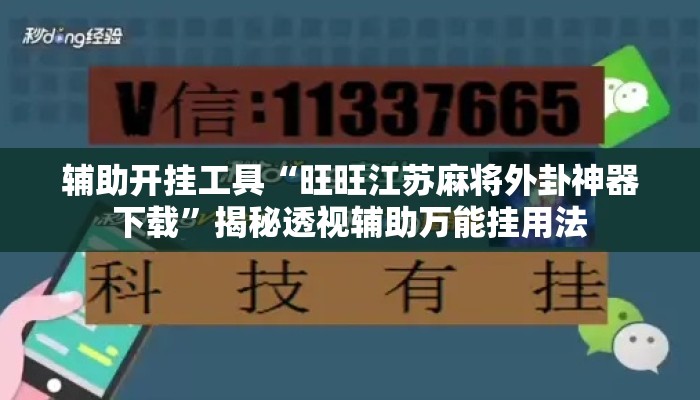 辅助开挂工具“旺旺江苏麻将外卦神器下载	”揭秘透视辅助万能挂用法