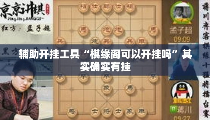 辅助开挂工具“棋缘阁可以开挂吗”其实确实有挂