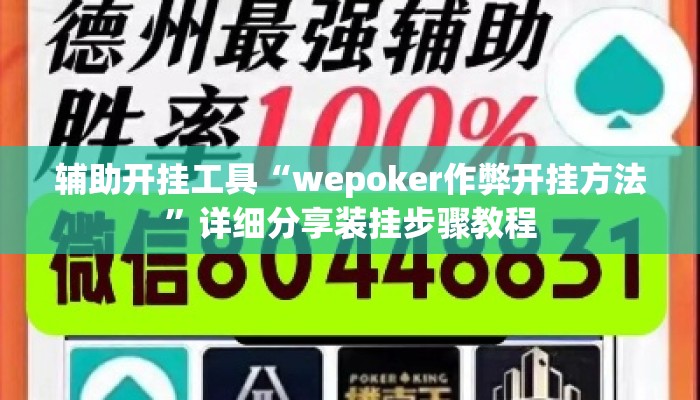 辅助开挂工具“wepoker作弊开挂方法	”详细分享装挂步骤教程