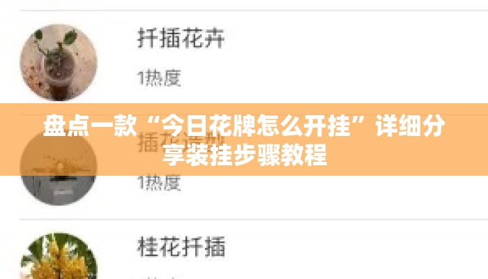 盘点一款“今日花牌怎么开挂”详细分享装挂步骤教程