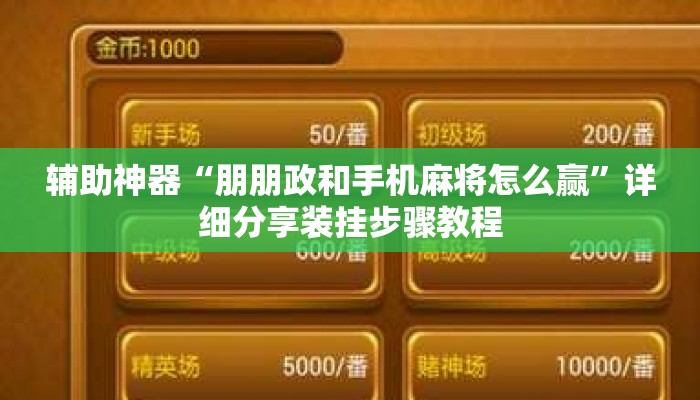 辅助神器“朋朋政和手机麻将怎么赢	”详细分享装挂步骤教程