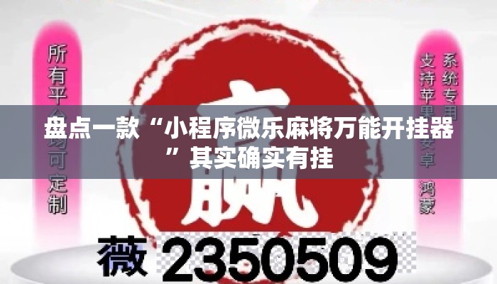 盘点一款“小程序微乐麻将万能开挂器”其实确实有挂