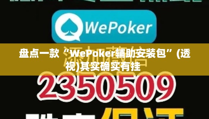 盘点一款“WePoker辅助安装包”(透视)其实确实有挂 