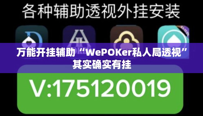 万能开挂辅助“WePOKer私人局透视”其实确实有挂