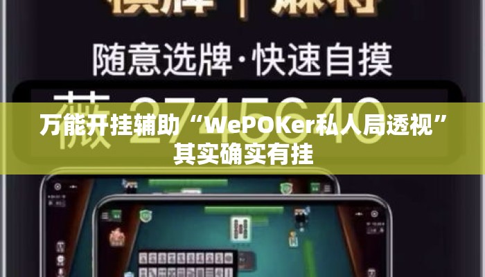 万能开挂辅助“WePOKer私人局透视	”其实确实有挂