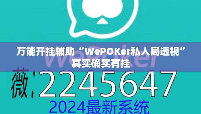 万能开挂辅助“WePOKer私人局透视”其实确实有挂