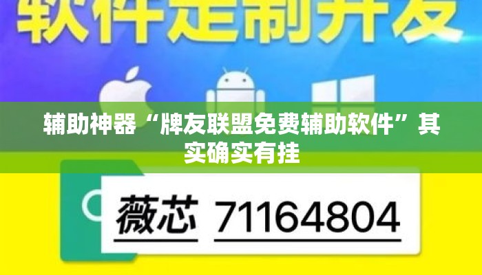 辅助神器“牌友联盟免费辅助软件	”其实确实有挂