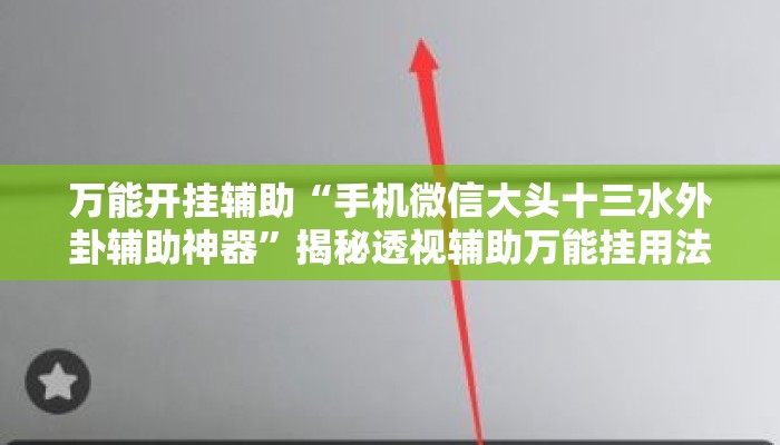 万能开挂辅助“手机微信大头十三水外卦辅助神器”揭秘透视辅助万能挂用法