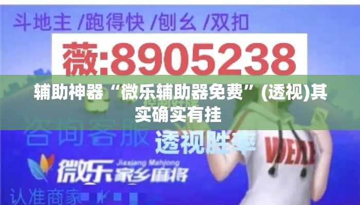辅助神器“微乐辅助器免费”(透视)其实确实有挂 