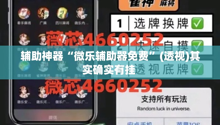 辅助神器“微乐辅助器免费”(透视)其实确实有挂 