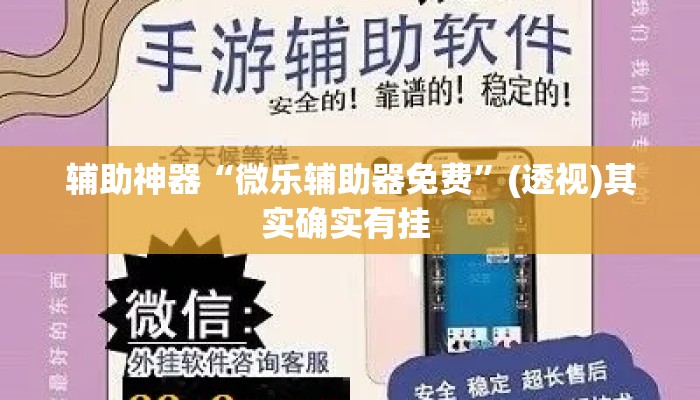 辅助神器“微乐辅助器免费	”(透视)其实确实有挂 