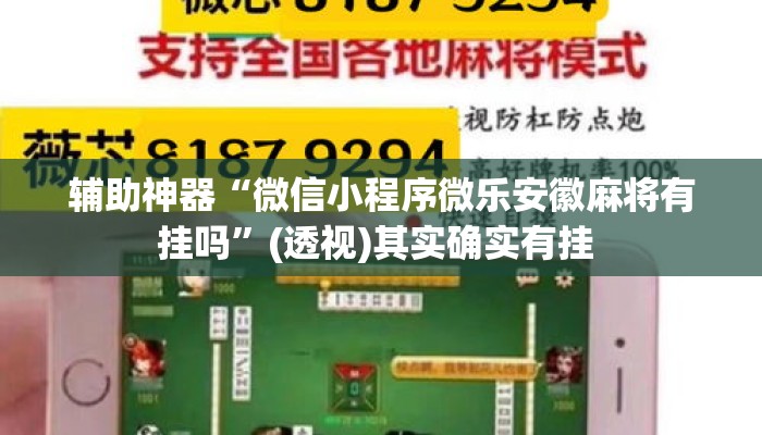 辅助神器“微信小程序微乐安徽麻将有挂吗”(透视)其实确实有挂 