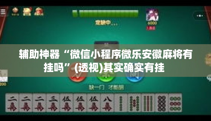 辅助神器“微信小程序微乐安徽麻将有挂吗”(透视)其实确实有挂 