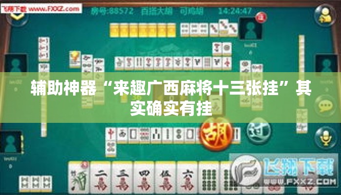 辅助神器“来趣广西麻将十三张挂”其实确实有挂