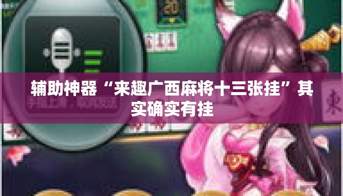 辅助神器“来趣广西麻将十三张挂	”其实确实有挂