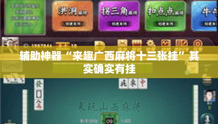 辅助神器“来趣广西麻将十三张挂”其实确实有挂