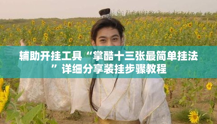 辅助开挂工具“掌酷十三张最简单挂法”详细分享装挂步骤教程